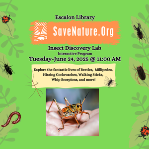 Insect Discovery Lab